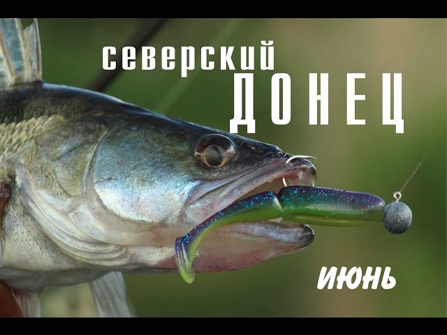 Северский Донец. Июнь