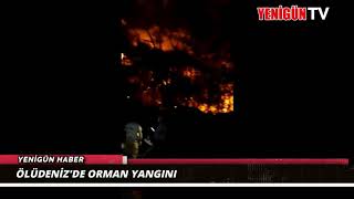Ölüdeni̇zde Orman Yangini
