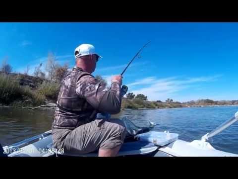 ловля судака на волгоградском водохранилище видео ловля судака на волгоградском водохранилище видео