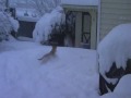 Cooper in real deep snow 2010