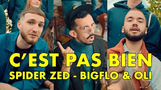 Spider Zed, Bigflo & Oli - C'Est Pas Bien