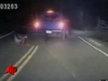 Raw Video: Cops Chase Stolen Soda Machine