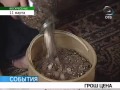 больше не увидеть. В текущем 