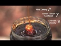 Amazing Honey Coiling High Speed Video! - Smarter Every Day 53