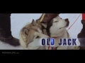 Online Movie Eight Below (2006) Free Online Movie