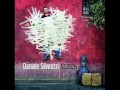 Daniele Silvestri - Lo SCOTCH klip izle