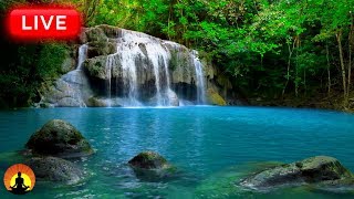 Relaxing Meditation Music 24 7 Relaxing Music Sleep Music Mediation Music Study Music Relaxing Meditation Music 24 7 Relaxing Music Sleep Music Mediation Music Study Music