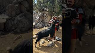 Kılıç Aamat Deke Alıyor, Sevinçli.