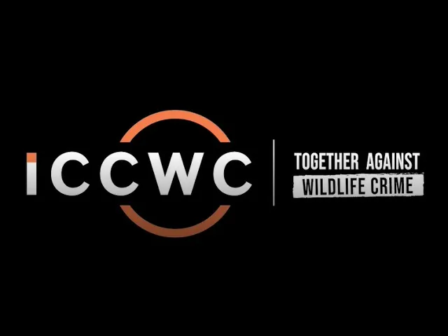 Watch ICCWC - About on YouTube.