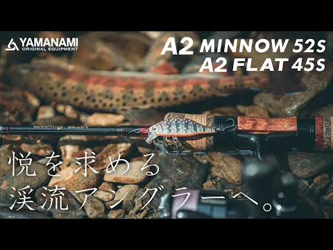 映像撮影・編集