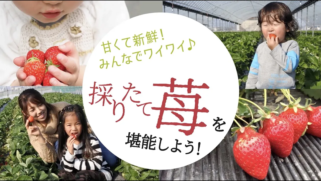 農園紹介動画広告事例30秒
