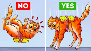 Сats Always Land on Their Feet Because of This