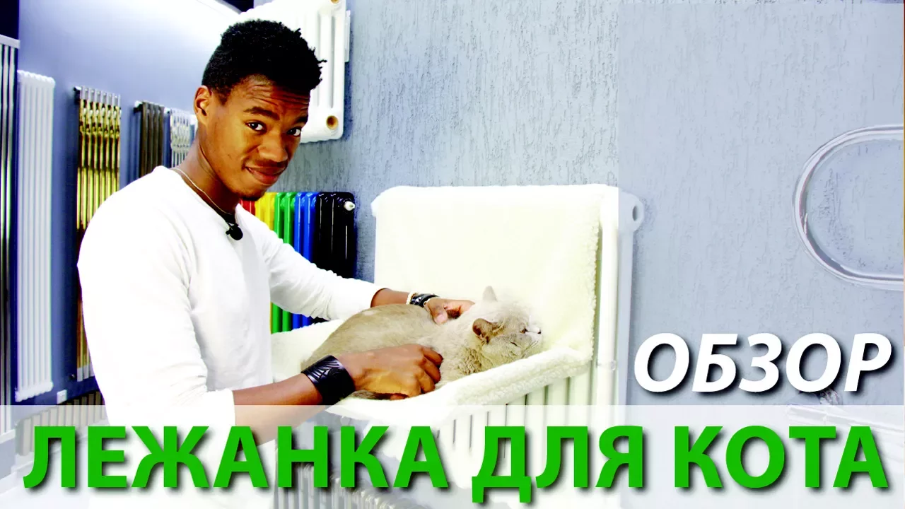 Видео «Лежанка для домашних животных на радиатор»