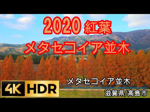 フライト歴8年の実績と経験!全ジャンル対応!!国交省に全国包括申請済み。