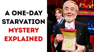 A One-Day Starvation Secret Got the Nobel Prize