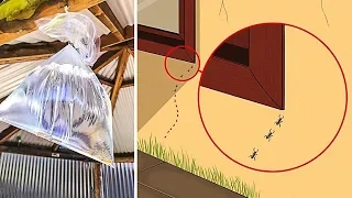 30 CAMPING HACKS YOU'LL WANT TO CARRY ALONG NEXT TIME