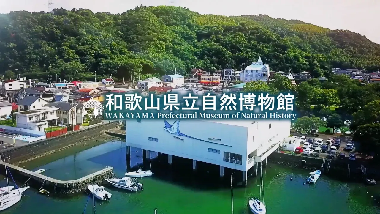 自然博物館動画広告事例