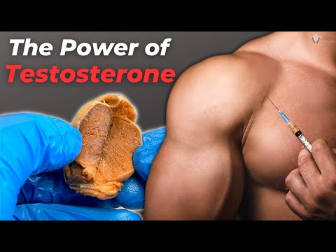 What Low Testosterone Does To The Body