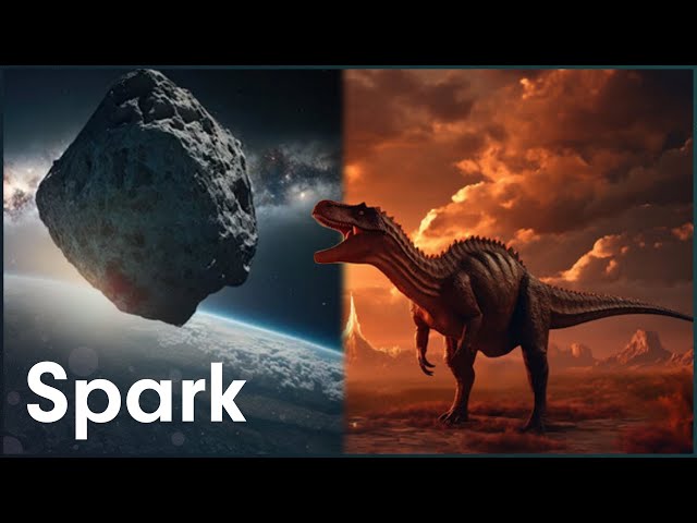 The History Of Earth's Five Mass Extinction Events [4K] | The Next Great Extinction Event | Spark