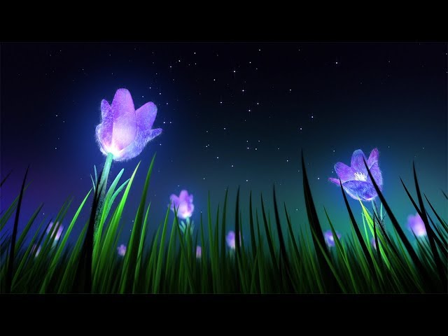 Relaxing Sleep Music and Night Nature Sounds: Soft Crickets, Beautiful Piano, Fall Asleep Fast
