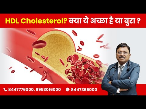 HDL Cholesterol What Is HDL Cholesterol Is It Good Or Bad