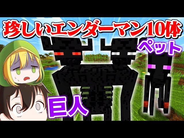 モンスター達の突然変異体 ミュータント とは絶対に戦うな マインクラフト Litetube モンスター達の突然変異体 ミュータント とは絶対に戦うな マインクラフト Litetube