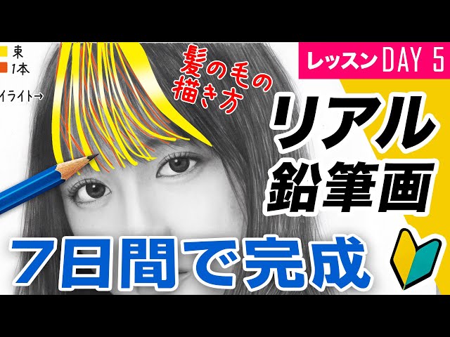 鉛筆画レッスンday5 髪の毛の描き方の基本 7日間で描ける リアル鉛筆画 How To Draw Realistic Pencil Drawing In 7days 012 Litetube 鉛筆画レッスンday5 髪の毛の描き方の基本 7日間で描ける リアル鉛筆画 How To Draw Realistic Pencil Drawing In 7days 012 Litetube