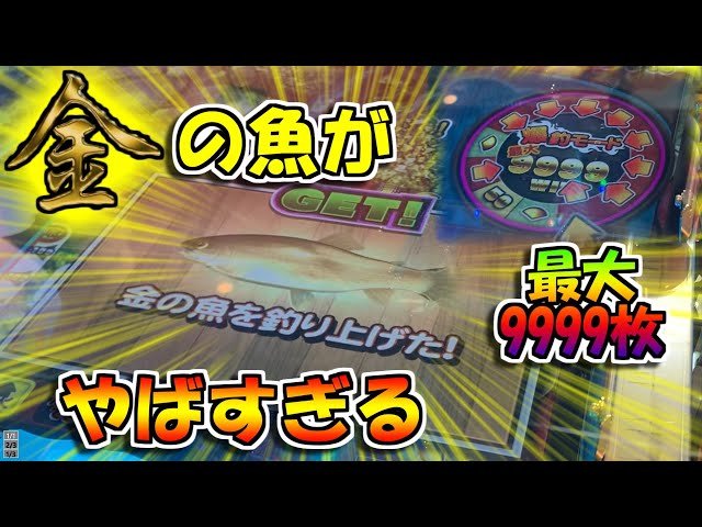 メダルゲーム レッ釣りgoだけでメダル1万枚を目指してみる Part4前編 Litetube