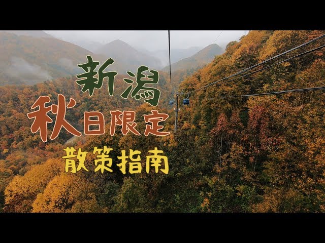 鏡食旅 5個你不知道的西雅圖 Litetube 鏡食旅 5個你不知道的西雅圖 Litetube