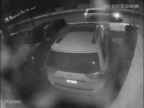 Brampton Auto Parts Theft Caught On Camera
