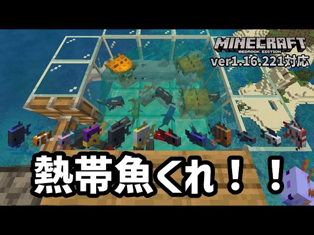 所長 Shotyou Litetube 所長 Shotyou Litetube