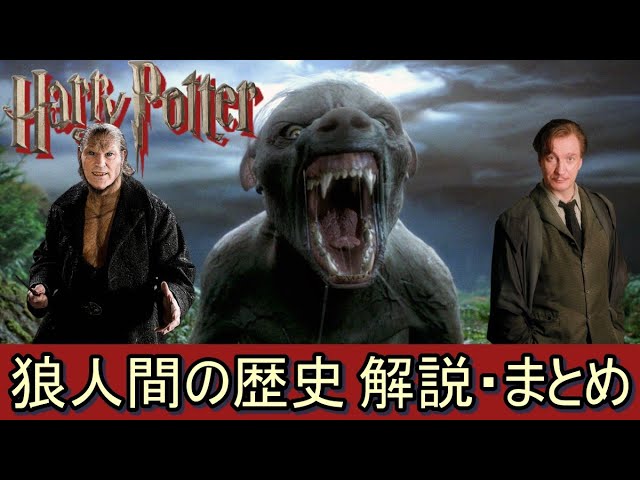 ハリーポッター リーマス ルーピンの生涯 完全解説 Litetube