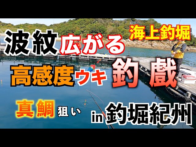 釣堀紀州のモーニングでおうみ楽釣会青年部さんの爆釣餌akbを使ってみた30分 Litetube 釣堀紀州のモーニングでおうみ楽釣会青年部さんの爆釣餌akbを使ってみた30分 Litetube