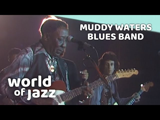 Muddy Waters Blues Band Live At The North Sea Jazz Festival • 15-07-1979 • World of Jazz