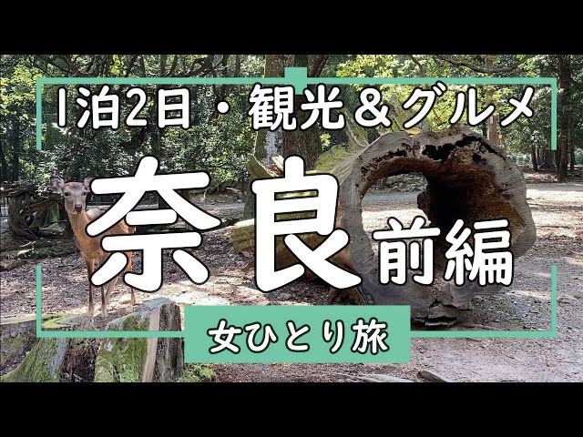 秋色の奈良公園を巡る 猿沢の池から春日大社 Litetube 秋色の奈良公園を巡る 猿沢の池から春日大社 Litetube