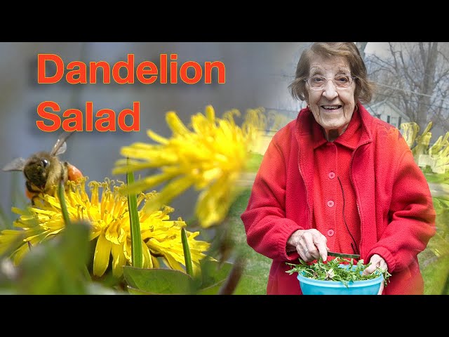 Great Depression Cooking - Dandelion Salad