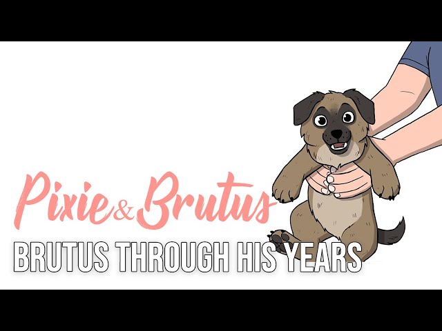 Time Changes Us All | Pixie and Brutus Comic Dub