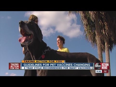 Annual Vaccines Questioned By Pet Owners