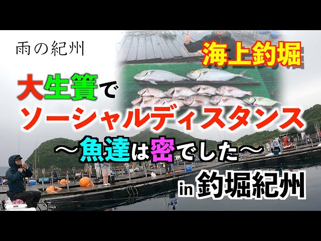 釣堀紀州 特製ササミ仕込み中に聞いてみた Litetube