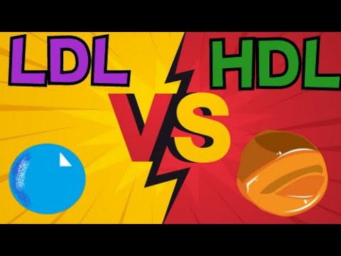 LDL VS HDL QUICK SUMMARY