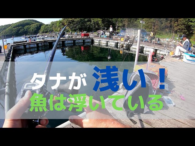 春の釣堀紀州に行ってみた Litetube