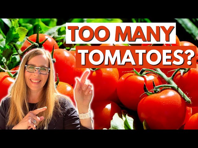 STOP Canning Tomatoes!  Freezing Tomatoes Is So Much Faster!