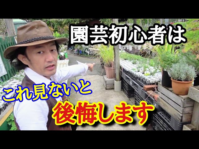 手入れしなくてここまでできる 園芸店 店長が プロではない庭 紹介します お庭づくりに迷われている方 デザイン 植物選びの参考にしてください オープン ガーデン豊橋 鈴木修 個人邸の庭 Litetube 手入れしなくてここまでできる 園芸店 店長が プロではない庭 紹介します お庭づくりに迷われている方 デザイン 植物選びの参考にしてください オープン ガーデン豊橋 鈴木修 個人邸の庭 Litetube