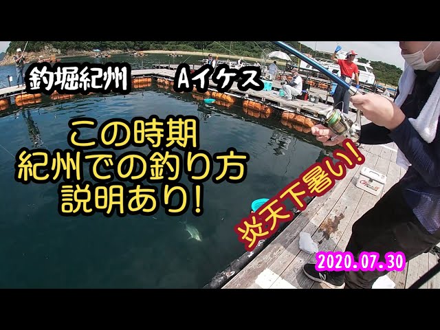 春の釣堀紀州に行ってみた Litetube