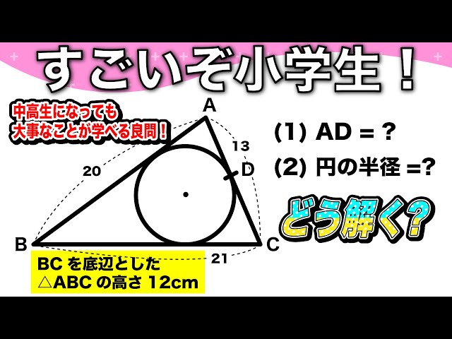 面白い算数問題 中学受験 中学入試 算数 解説 成蹊中学 平面図形 Litetube