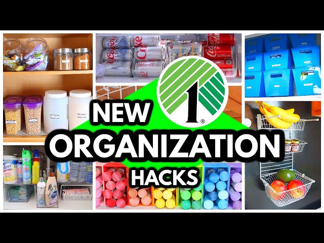 35 DOLLAR TREE ORGANIZATION IDEAS to Make Your Home More Organized (must see) EASY IDEAS