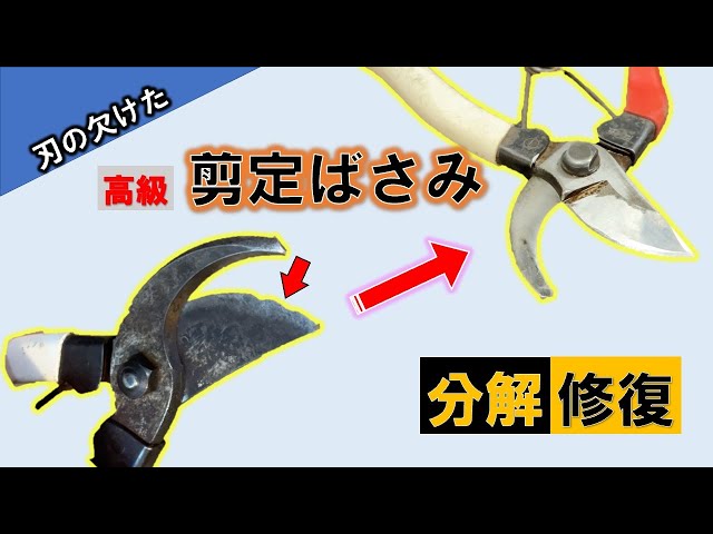 剪定ばさみの研ぎ方 岡恒の剪定鋏を超仕上げ 字幕 Litetube