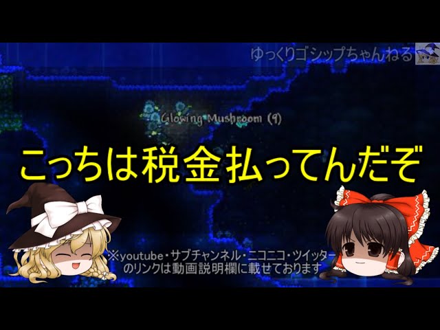 ゆっくり解説 54 何故起こる 正義の名の下の 私刑 Litetube