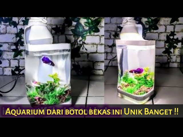 Cara Membuat Aquarium Ikan Cupang Dari Botol Bekas Litetube