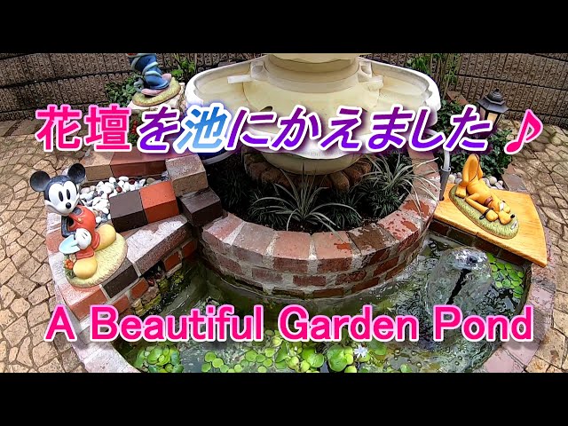 芝生の庭に池を手作りしましたHow to make a simple pond for $ 100 